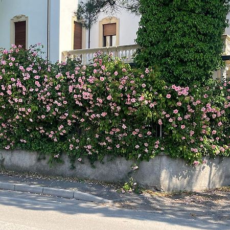 Il Bozzolo Eco Boutique Apartments Valeggio sul Mincio Exterior foto