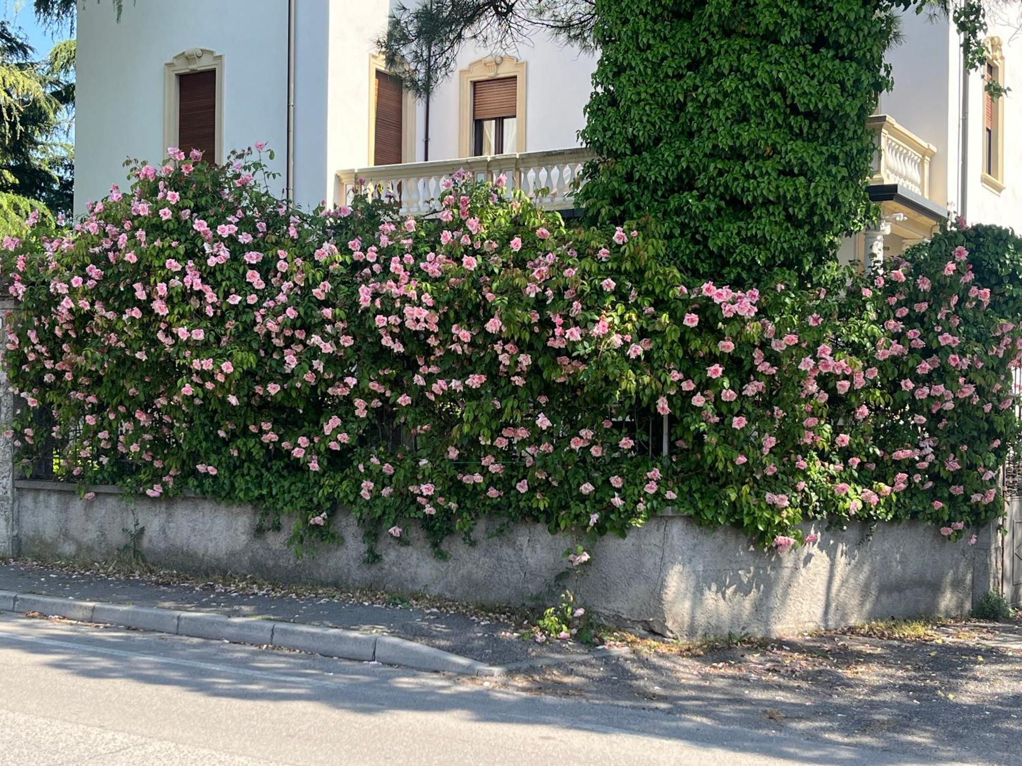 Il Bozzolo Eco Boutique Apartments Valeggio sul Mincio Exterior foto